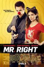 Watch Mr. Right 123movies