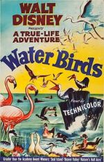 Watch Water Birds (Short 1952) 123movies