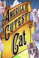 Watch America's Cutest Cat 123movies