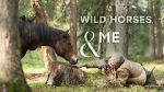 Watch Wild Horses, the Rockies and Me (TV Special 2025) 123movies