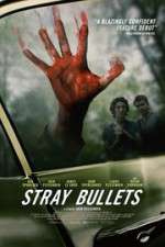 Watch Stray Bullets 123movies