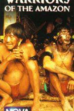 Watch Lost Treasures of Tibet 123movies