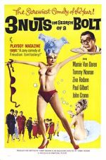 Watch 3 Nuts in Search of a Bolt 123movies