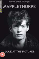Watch Mapplethorpe: Look at the Pictures 123movies