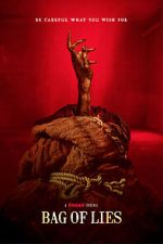 Watch Bag of Lies 123movies