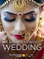 Watch My Big Bollywood Wedding 123movies