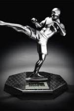 Watch World MMA Awards 2010 123movies
