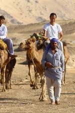 Watch Secrets Of The Arabian Nights 123movies