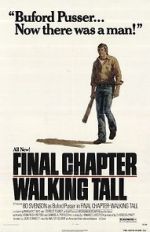 Watch Final Chapter: Walking Tall 123movies