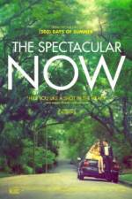 Watch The Spectacular Now 123movies