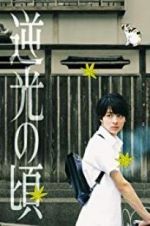 Watch Lights of Kyoto 123movies