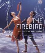 Watch The Firebird 123movies