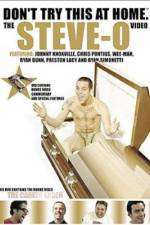 Watch Don't Try This at Home The Steve-O Video 123movies