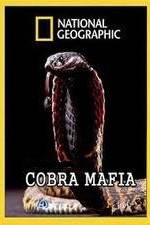 Watch National Geographic Cobra Mafia 123movies