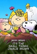 Watch Snoopy Presents: It's the Small Things, Charlie Brown (TV Special 2022) 123movies
