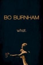 Watch Bo Burnham: what. 123movies
