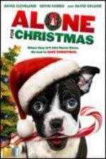 Watch Alone For Christmas 123movies