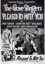 Watch Pleased to Mitt You 123movies