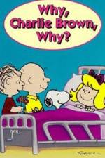 Watch Why Charlie Brown Why 123movies