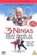 Watch 3 Ninjas High Noon at Mega Mountain 123movies