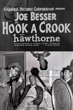 Watch Hook a Crook 123movies