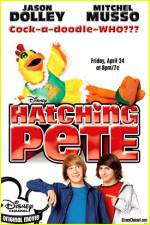 Watch Hatching Pete 123movies