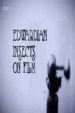 Watch Edwardian Insects on Film 123movies