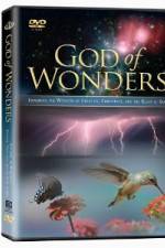 Watch God of Wonders 123movies