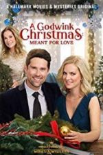 Watch A Godwink Christmas: Meant for Love 123movies