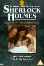 Watch The Dying Detective 123movies