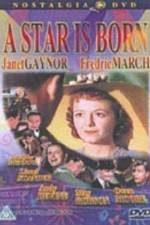 Watch A Star Is Born 123movies