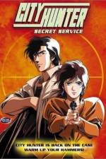 Watch City Hunter Secret Service 123movies