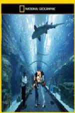 Watch National Geographic Megastructures Dubai Mega Mall 123movies