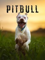 Watch Pitbull 123movies
