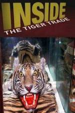 Watch Inside: The Tiger Trade 123movies