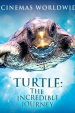 Watch Turtle The Incredible Journey 123movies