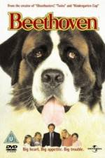Watch Beethoven 123movies