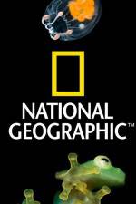 Watch National Geographic Wild Dam Beavers 123movies