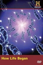 Watch How Life Began 123movies