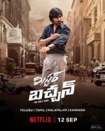 Watch Mr. Bachchan 123movies