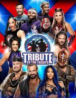 Watch WWE Tribute to the Troops 123movies