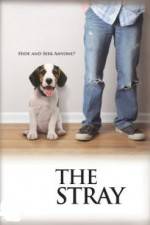 Watch The Stray 123movies