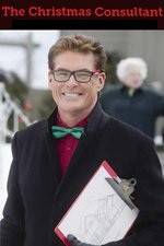 Watch The Christmas Consultant 123movies