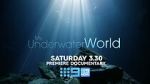 Watch My Underwater World (TV Special 2024) 123movies