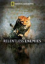 Watch Relentless Enemies 123movies