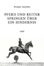 Watch Pferd und Reiter Springen ber ein Hindernis 123movies