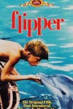 Watch Flipper 123movies