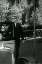 Watch Night Life in Reno 123movies