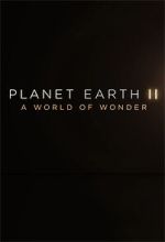 Watch Planet Earth II: A World of Wonder 123movies