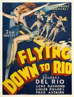 Watch Flying Down to Rio 123movies